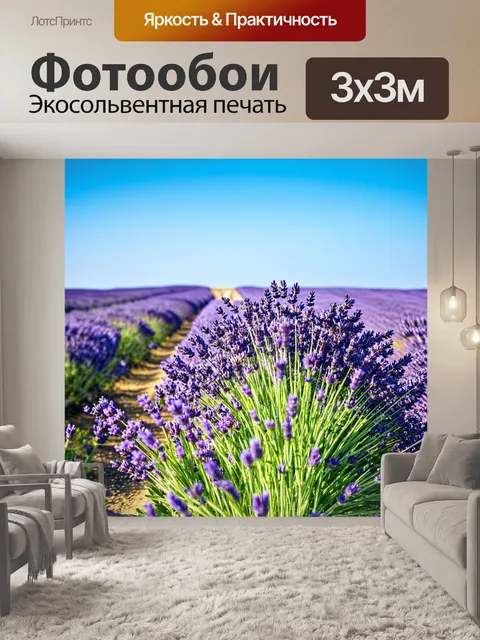 Фотообои цветущие лавандовые поля под ясным голубым небом