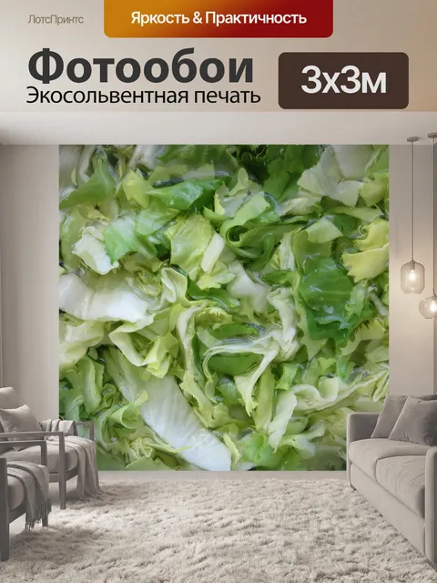 Фотообои Эндивий