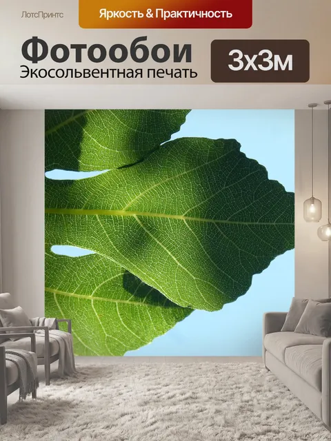 Фотообои Лист
