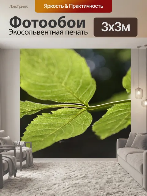 Фотообои Листья