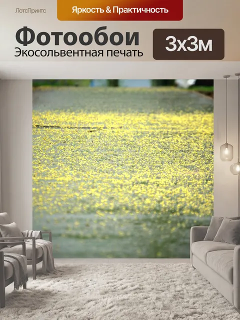 Фотообои Минск