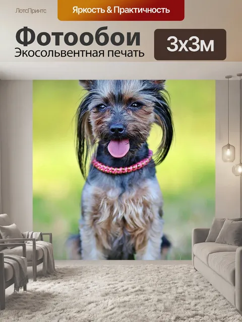 Фотообои Йорки
