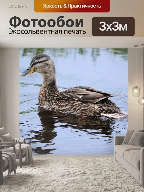 Фотообои Утки 10