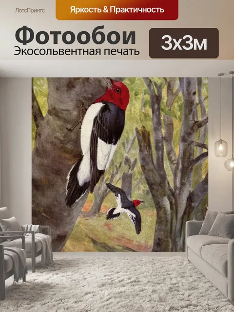 Фотообои Красноголовый дятел - изображение птицы