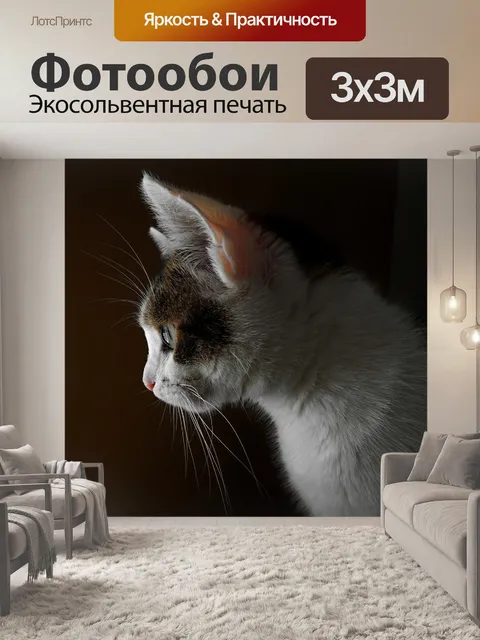 Фотообои Кошка