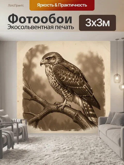 Фотообои Ястреб на сухой ветке