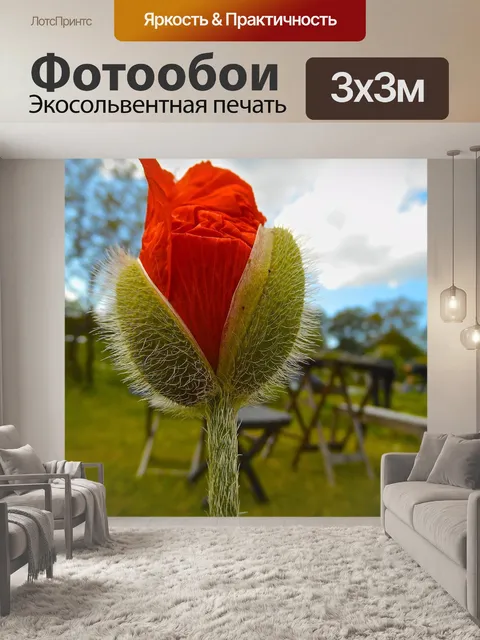 Фотообои Красные бутоны