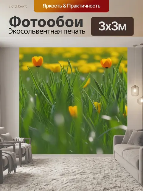 Фотообои тюльпаны и луга