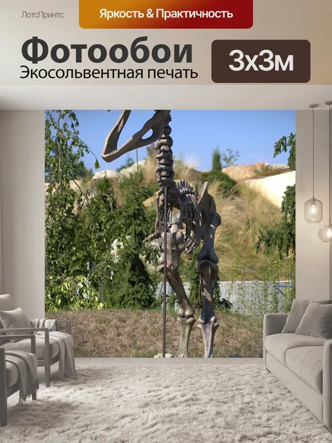 Фотообои Скелет