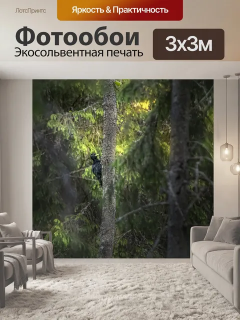 Фотообои Черный дятел