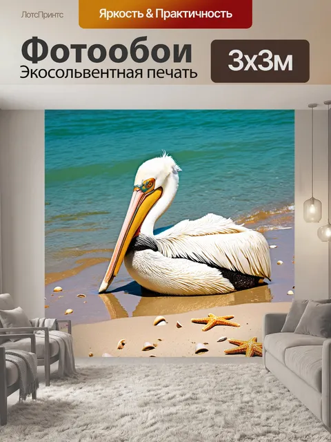 Фотообои пеликан, отдыхающий на мелководье у песчаного берега, с окружающими его мелкими ракушками и морскими звездами