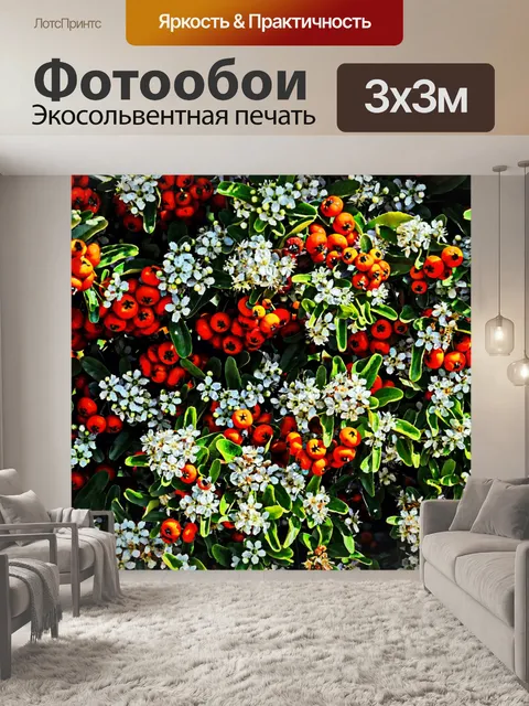 Фотообои Цветы и ягоды Фон