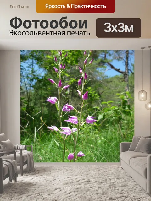 Фотообои Красная лесная птица