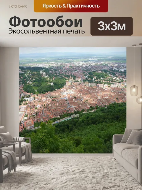 Фотообои Птичьего полета