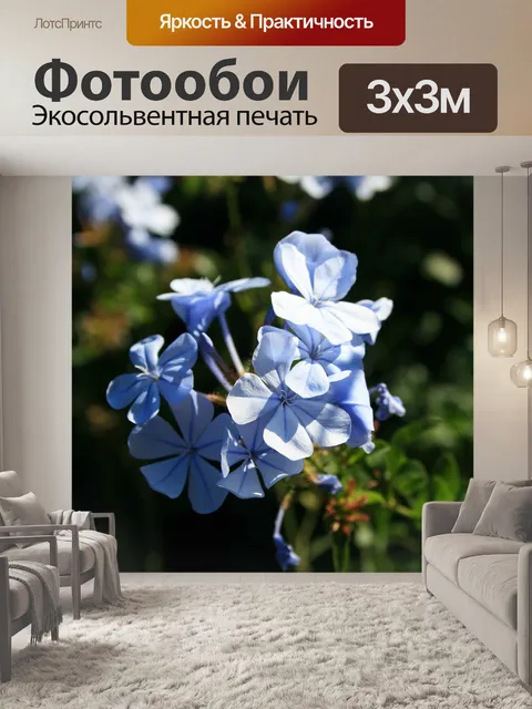 Фотообои кластер графит
