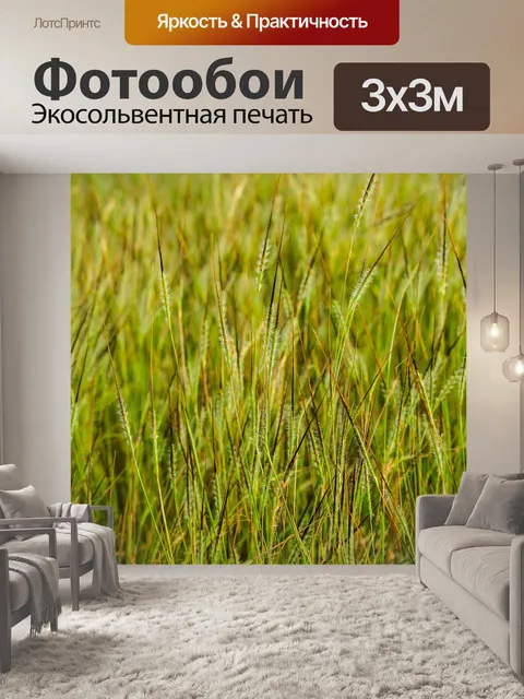 Фотообои Дикий цветок в Таиланде