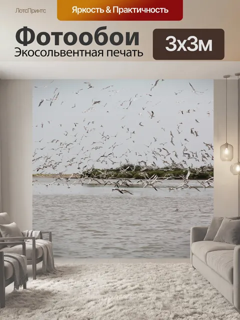 Фотообои Птицы