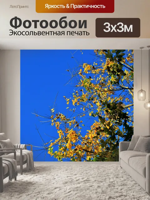 Фотообои Желтые листья на фоне голубого неба