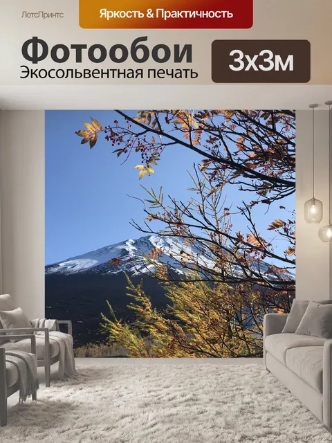 Фотообои Гора фудзи
