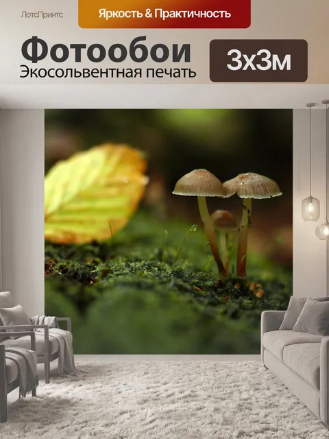 Фотообои Грибы Мох Лист Дерево Ствол