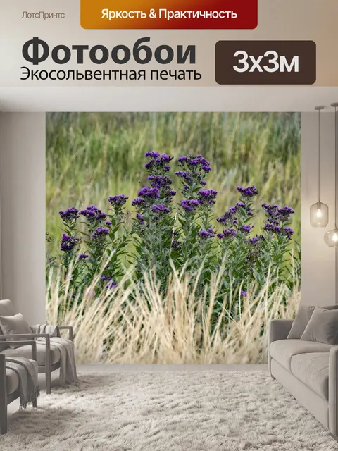 Фотообои Золотая трава, фиолетовые цветы