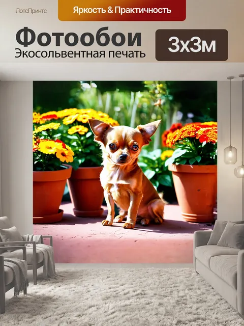 Фотообои маленький той терьер с блестящей шерстью сидит на террасе, окружённый яркими цветами в горшках