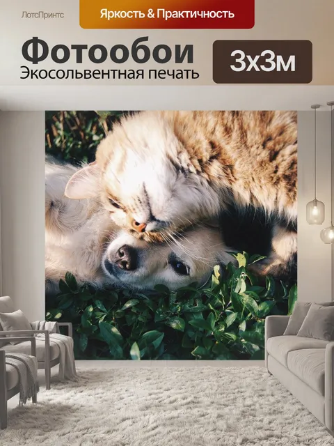 Фотообои Друзья