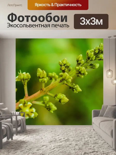 Фотообои Дикий цветок в Таиланде
