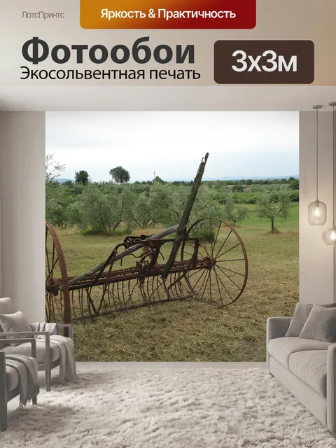 Фотообои Оливки