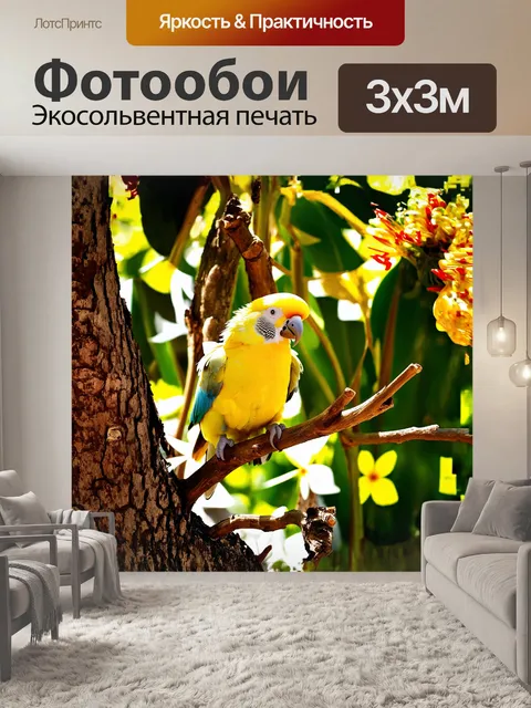 Фотообои корелла сидит на ветке тропического дерева, окруженная яркими цветами и экзотическими растениями