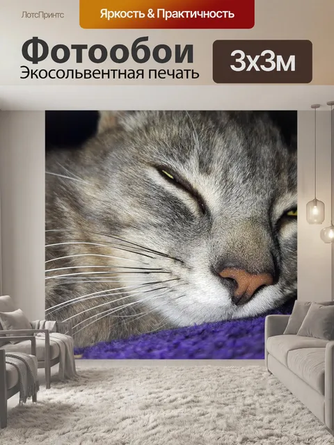 Фотообои Гато