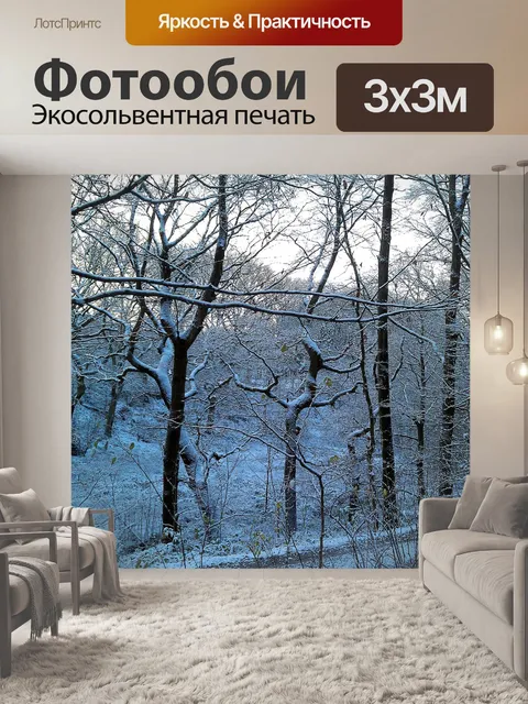 Фотообои Зима