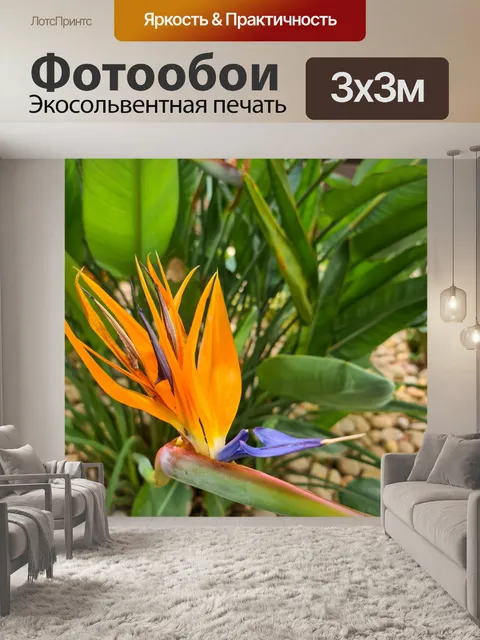 Фотообои Цветок райской птицы