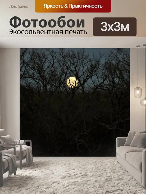 Фотообои Полнолуние над деревьями зимой