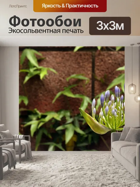 Фотообои Agapanthus
