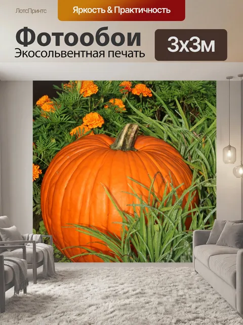 Фотообои Тыква и хризантемы