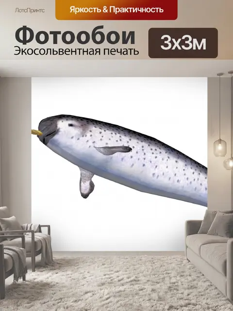 Фотообои нарвал изолированные