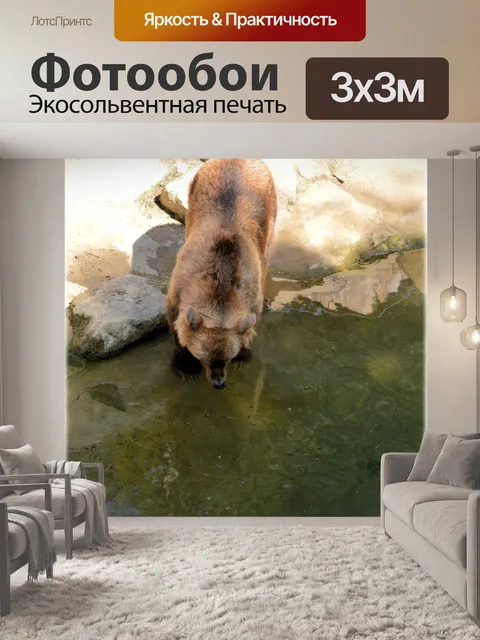 Фотообои Бурый медведь 06