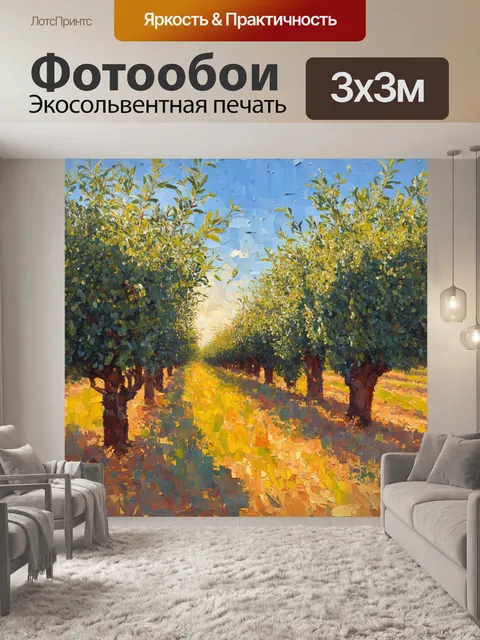 Фотообои прованс, где изображены оливковые рощи на фоне закатного неба