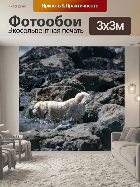 Фотообои собака на пляже