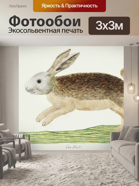 Фотообои Винтажное иллюстрированное искусство зай