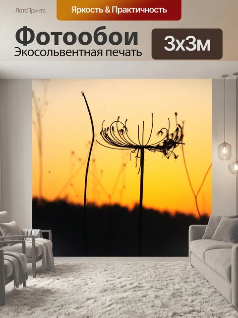 Фотообои Крупным планом сорняков силуэт восхода с