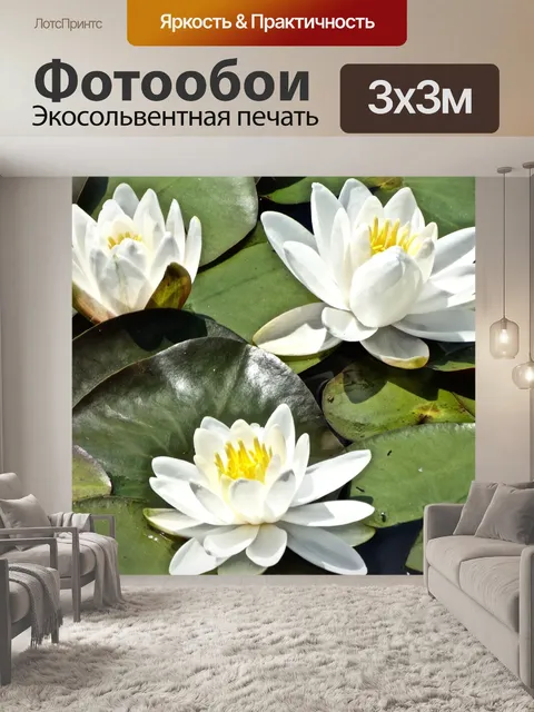 Фотообои Белый пруд лилии