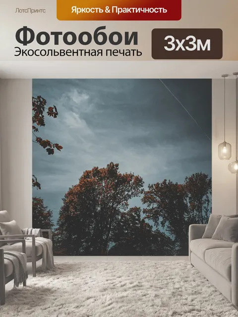 Фотообои Небо