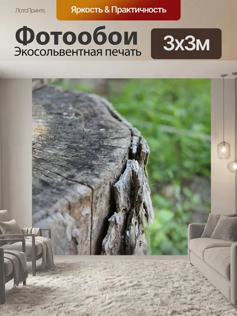 Фотообои Сложная кора серого пня
