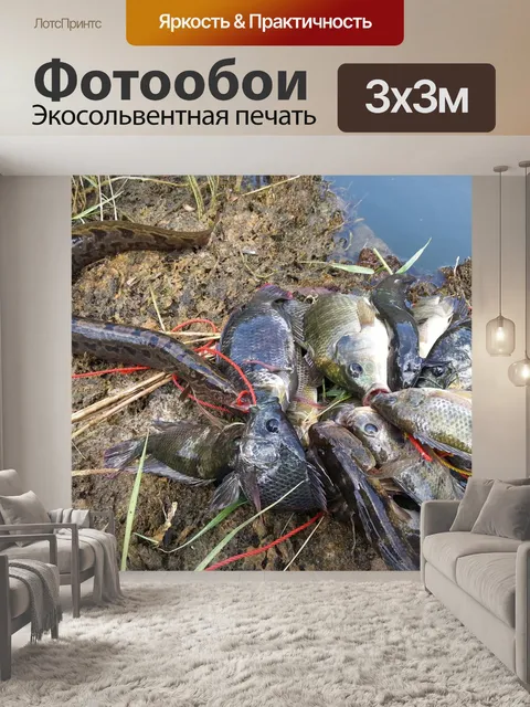 Фотообои Стая рыб