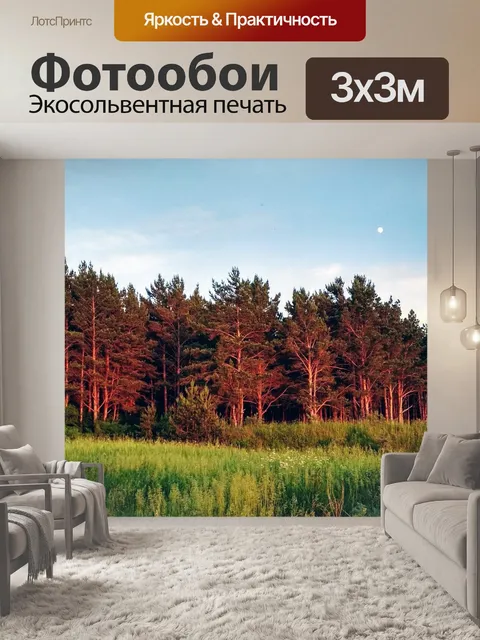 Фотообои Луна