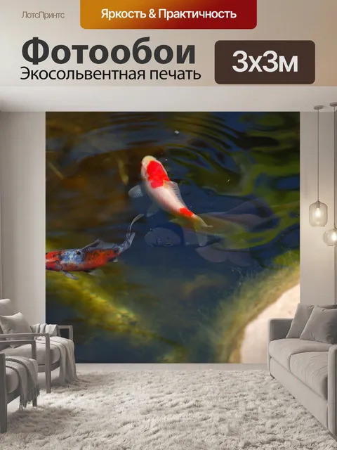Фотообои Koi рыбы