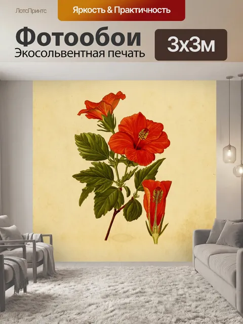 Фотообои Гибискус Роза Винтаж Иллюстрация