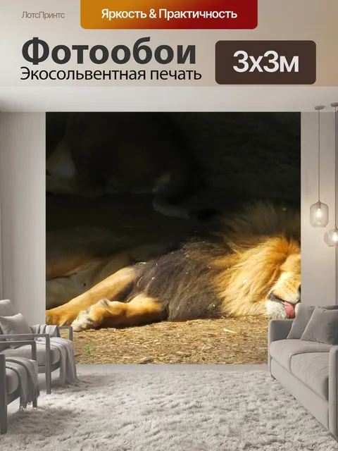 Фотообои лев